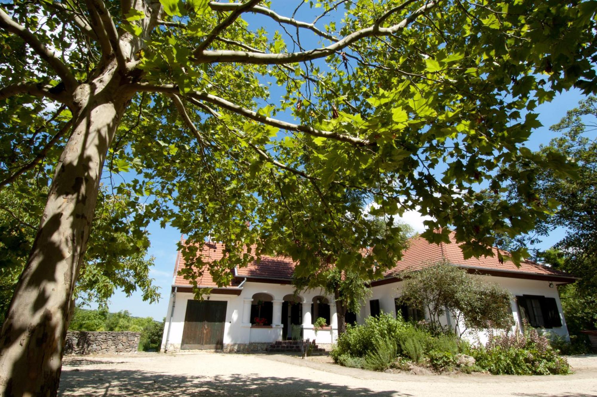 Somogy Kertje Üdülőfalu és Étterem Bonnya Exterior foto